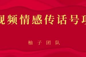 短视频情感传话号项目，细分领域的赚钱门道【视频课程】