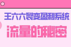 王六六裂变盈利系统课程01流量的秘密（核心诱饵+信任模型+裂变模式）
