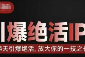 引爆绝活IP训练营，14天引爆绝活，放大你的一技之长
