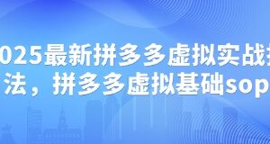 2025最新拼多多虚拟实战打法，拼多多虚拟基础sop