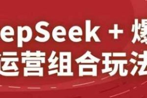 DeepSeek+爆品运营组合玩法，2025淘系精品课