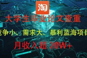 大学生毕业论文查重，暴利蓝海项目，月收入过1W+