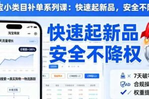 淘宝小类目补单系列课，快速起新品，安全不降权