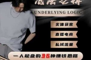一个人起盘的底层逻辑，私域流量-直播电商-实体获客，一人起盘的36种賺钱思路