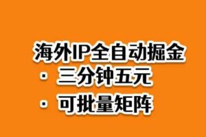 海外ip全自动掘金，2025必做蓝海项目，3分钟落地，矩阵直接开干【揭秘】