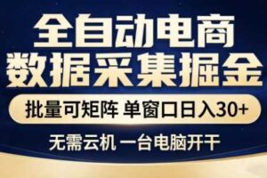 独家电商数据全自动采集项目,批量可矩阵,单窗口轻松日入3张+【揭秘】