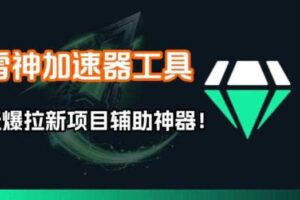 雷神加速器项目模拟器_无脑1分钟1条视频矩阵_疯狂报单打法【焚诀】