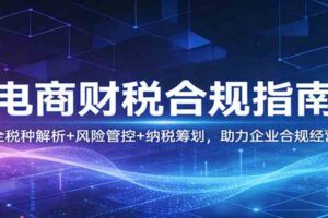 电商财税合规指南：全税种解析+风险管控+纳税筹划，助力企业合规经营