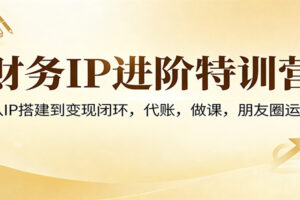 财务IP进阶特训营：从IP搭建到变现闭环，代账，做课，朋友圈运营