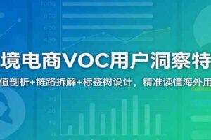 跨境电商VOC用户洞察特训：价值剖析+链路拆解+标签树设计，精准读懂海外用户
