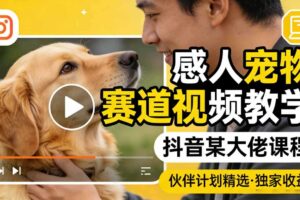 感人宠物赛道视频教学，抖音某大佬课程，可做伙伴计划精选独家收益