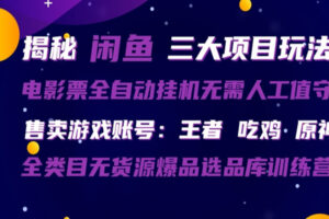 闲鱼三种玩法 全自动电影票  售卖游戏账号  爆品选品库训练营